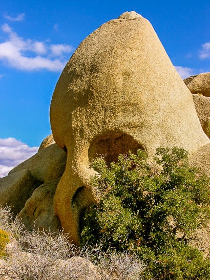 Joshua Tree-Skull Rock