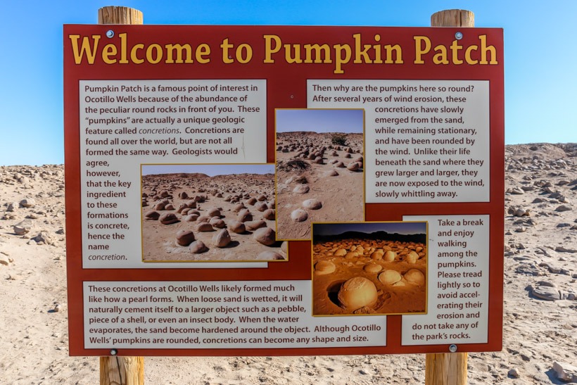  the pumpkin patch anza borrego state park