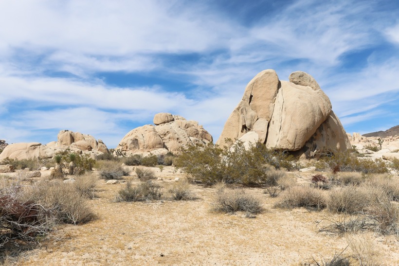 Joshua Tree National Forest: Boulder formations on Geology Tour Road