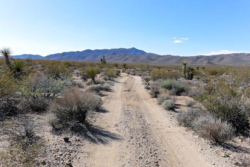 Pinkham Canyon Road, overland trails, off-road trials, california overland trails, over landing, over land, off-road, off-roading, vehicle supported adventure, Joshua Tree National Park, 