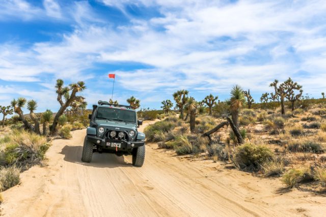 Pinkham Canyon Road, overland trails, off-road trials, california overland trails, over landing, over land, off-road, off-roading, vehicle supported adventure, Joshua Tree National Park,