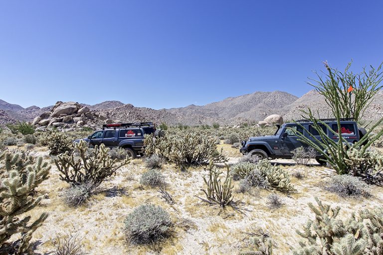 Anza Borrego- Smokin’ Hot Week-End Adventure