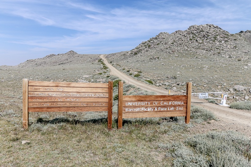 White Mountains trailhead, white mountain road, overland trails, off-road trails, off-roading, off roading, over land, vehicle supported adventure, California overland trails, eastern sierra trails, 