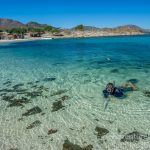 Clear water in Baja Duanne-1