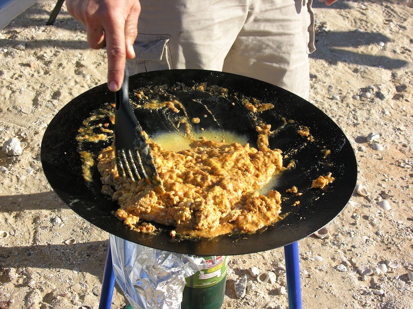 Tembo Tusk Skottle Grill - A Camping Gear Favorite