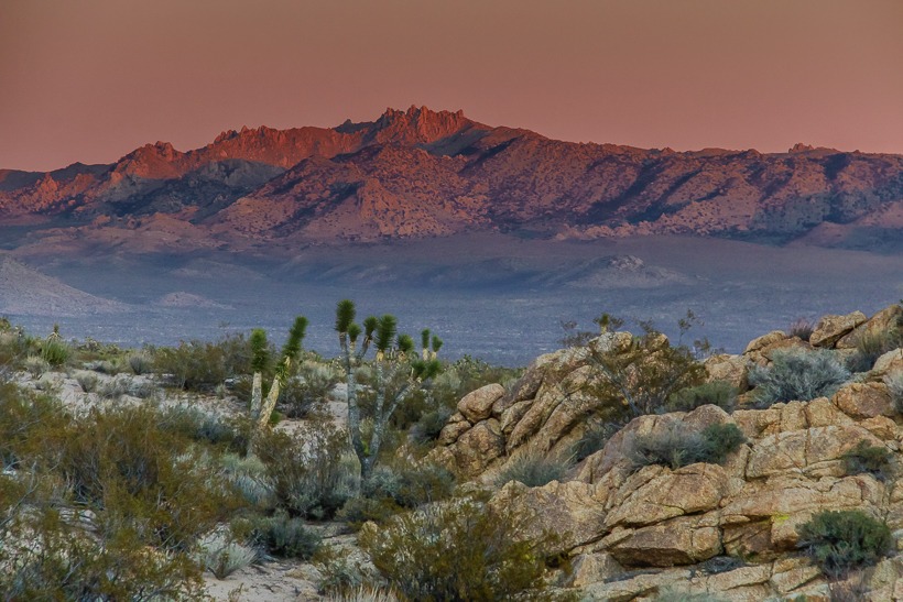 Mojave Desert sunset