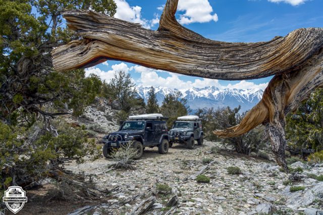 Papoose flats trail, overlanding trails, overland trail, overland, over land, offroad trail, off-road, off-roading, vehicle supported adventure, inyo national forest, adventure, expeditions,