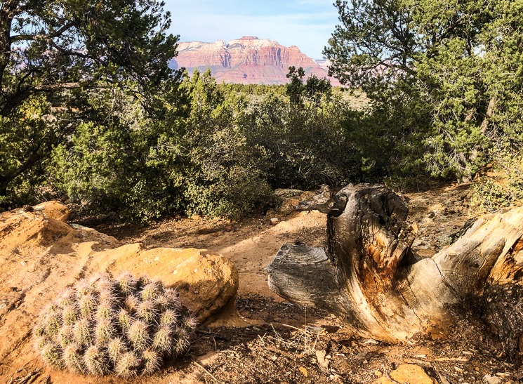 OVERLANDING, oVERLAND, OVER LAND, OFFROAD, OFFROADING, OFF-ROADING, OVERLAND ADVENTURE, EXPEDITIONS, adventure, alstrom point, lake powell, jeep, astrophotography, adventure photography, 