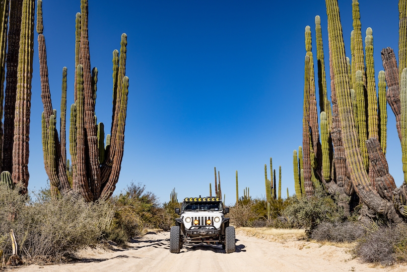 Baja, Baja California, Boreas XT, Boreas Campers, Boreas Trailers, TexasXlander, off-road trailers, overland trailer, overlanding, over land, off-road, off-roading, vehicle supported adventure,