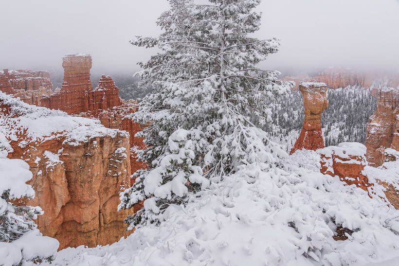 Hoodoos, Ponderosa Canyon, Bryce Canyon National Park, Utah, Overland utah, overlanding, photographing utah, southern utah, 