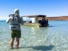 The Pelican DayVenture Soft Cooler/Backpack Pelican, cases, cooler, backpack cooler, DayVenture,
