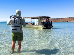 The Pelican DayVenture Soft Cooler/Backpack Pelican, cases, cooler, backpack cooler, DayVenture,